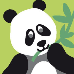 Kit Canevas DMC Panda enfant débutant complet